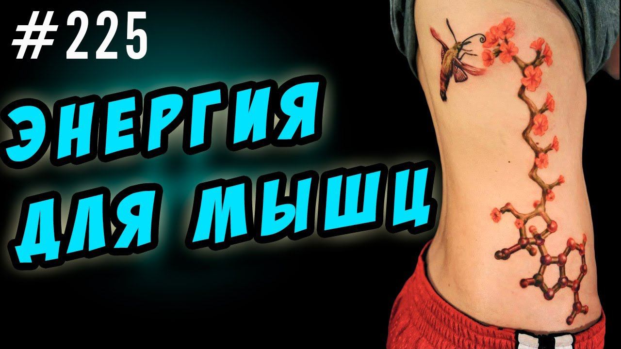энергия мышц - атф или откуда мышцы берут энергию смотреть онлайн