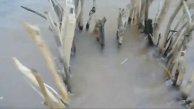 Ловись рыбка .... смотреть онлайн