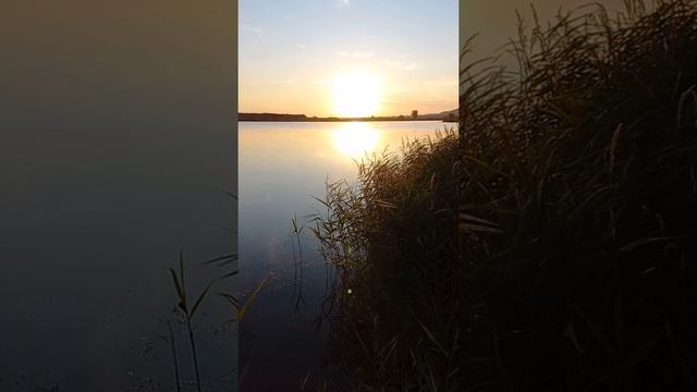 С Добрым утром ! #природа #красотаприроды #рассвет #рыбалка #озеро #солнце #рыбак #утро #доброеутро смотреть онлайн