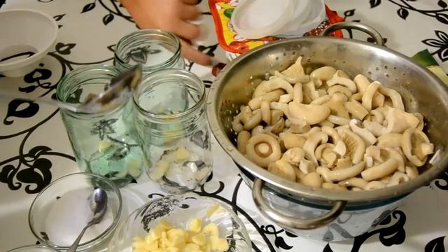 Засолка груздей горячим способом смотреть онлайн