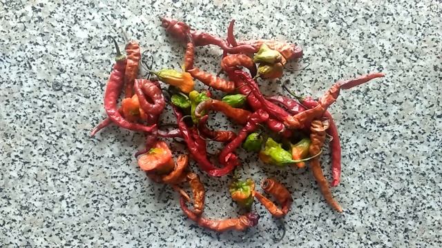 Горький перец! Собираем и храним урожай.. смотреть онлайн