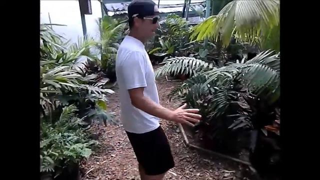 Video Palm House with Rusty смотреть онлайн