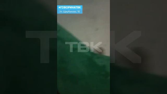 Сломанная дверь и облупившиеся стены: подъезду не хватает ремонта смотреть онлайн