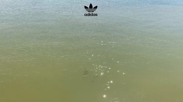 видео лето! 2023 ^_^ елабуга прекрасный город смотреть онлайн