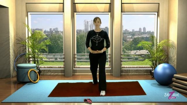 ЭФФЕКТИВНЫЙ ФИТНЕС ДЛЯ БУДУЩИХ МАМ или как легче перенести беременность и родить здорового малыша. смотреть онлайн