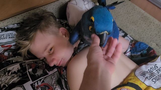 Раннее утро артистов!) Желаем всем хорошего дня и прекрасного настроения!) смотреть онлайн