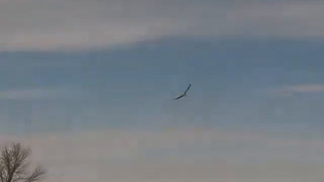 2017г рыбалка на ВОЛГЕ Астраханская об. смотреть онлайн