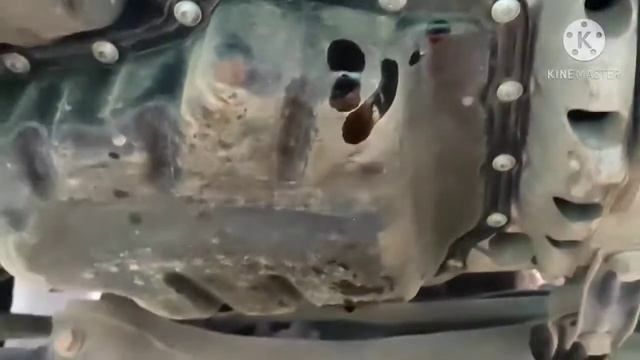 Замена моторного масла на Шкода Октавия А7 объем двигателя 1,6 MPI смотреть онлайн