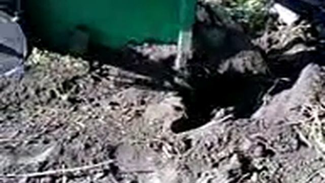 Картофелекопалка однорядная КТН-1,.3gp смотреть онлайн