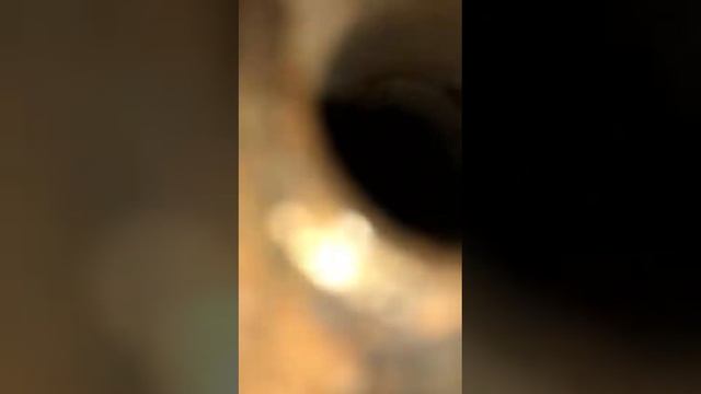 Чиска трубок теплообменника пыжами смотреть онлайн