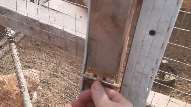 Содержание кур зимой...влажность в курятнике. смотреть онлайн