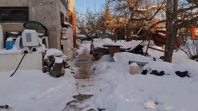 4184 Заготовка и сушка дров на зиму смотреть онлайн