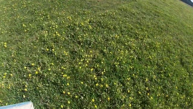 Shattered World Game 10 - Leyline 1 смотреть онлайн