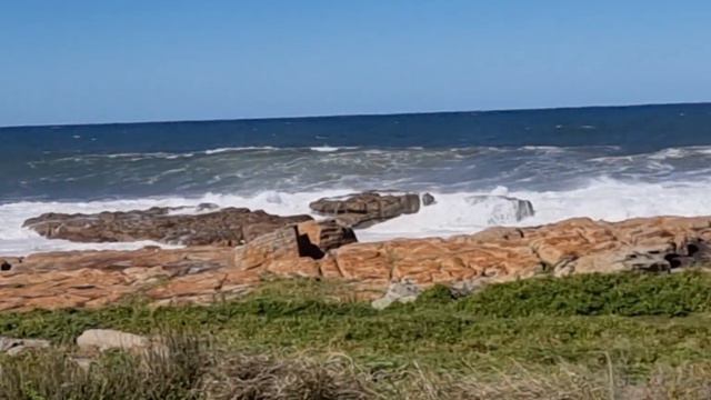 Massive Waves brings mysterious dead carcus onto St Mike's Beach. #tidytowns, #gorillatrading смотреть онлайн