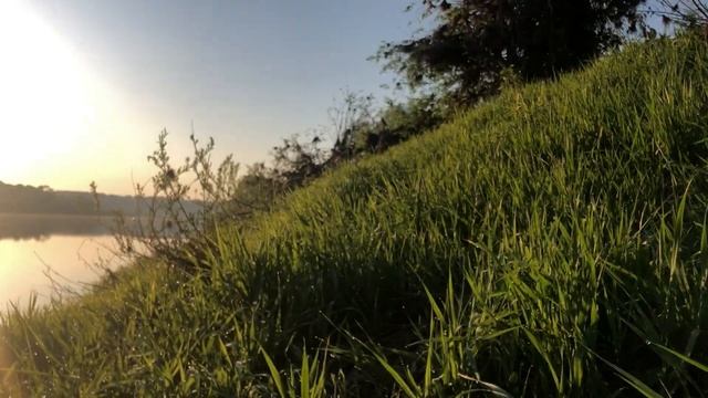 РЫБАЛКА на ФИДЕР в МАЕ / НОЧНЫЕ РЫБАЛКИ / РЫБА ПОШЛА на НЕРЕСТ смотреть онлайн