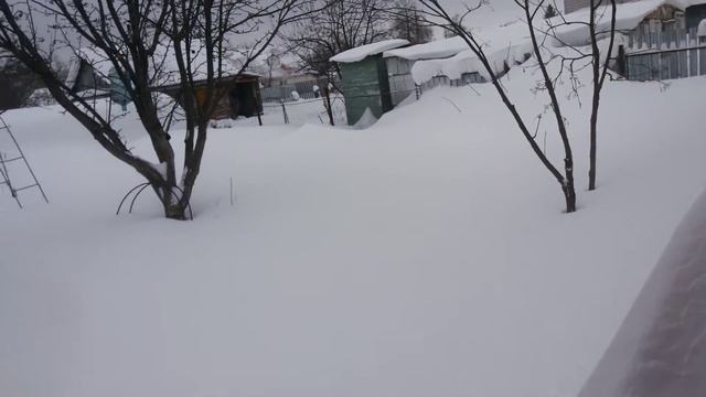 Про малоснежную зиму и почему нет видосов на канале.