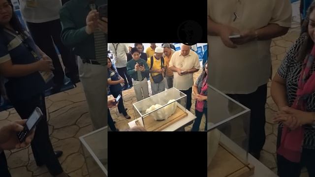 Жемчужина стоимостью 100000000 $ #находка #новости смотреть онлайн