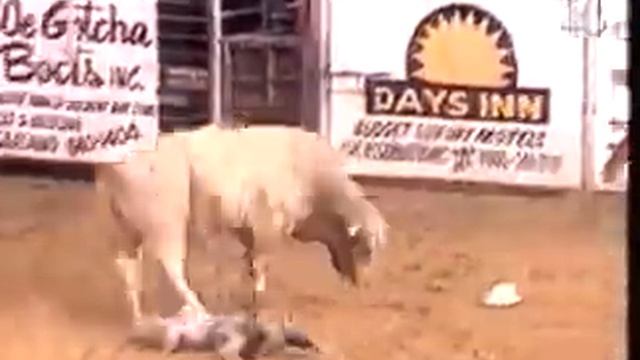 Видео приколы: Коррида это Вам не игрушки смотреть онлайн