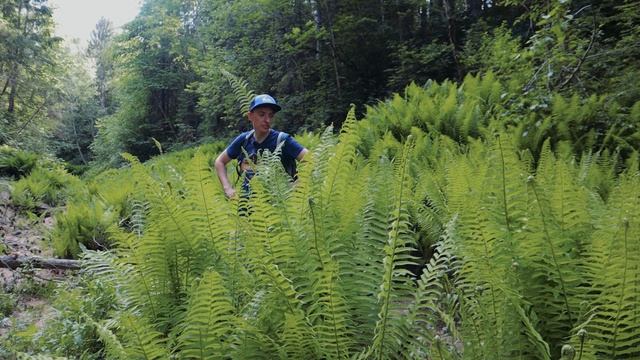 Рагуша- самая таинственная река Ленобласти | Водопады в каньоне реки Рагуша | Карстовая река смотреть онлайн