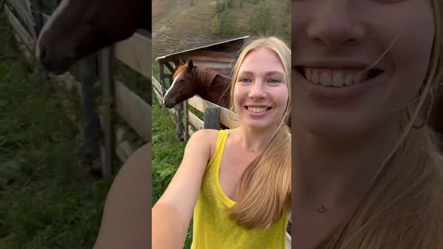 Вот и осень пришла. Количество красок и красоты в этот период просто зашкаливает. смотреть онлайн