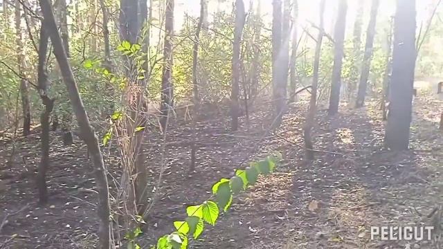 Прогулка по городу Тольятти Портпоселок смотреть онлайн