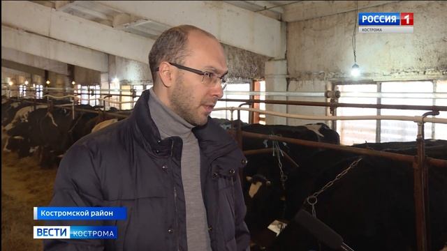 МТС оснастила датчиками 20 костромских коров смотреть онлайн