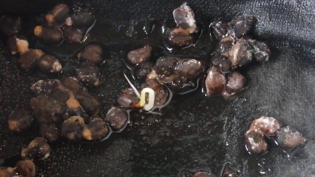 Как вырастить виноград из Косточки смотреть онлайн