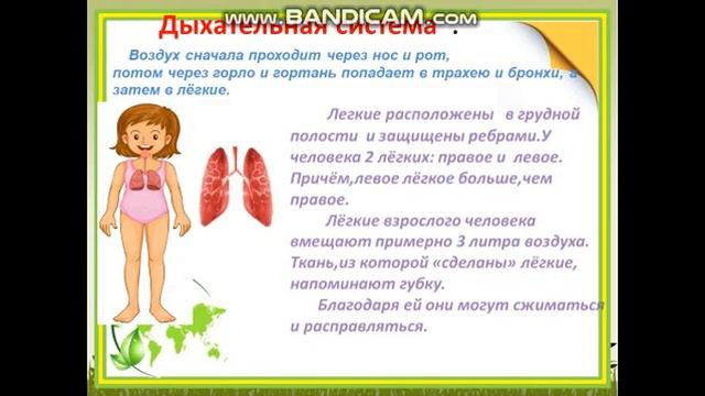 Организм человека 3 класс Оморова Гулмира смотреть онлайн
