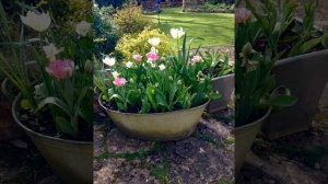 Необычные идеи для сада и дачи. Декор своими руками из подручных материалов.