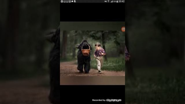 Как приручить собаку к пеленке смотреть онлайн