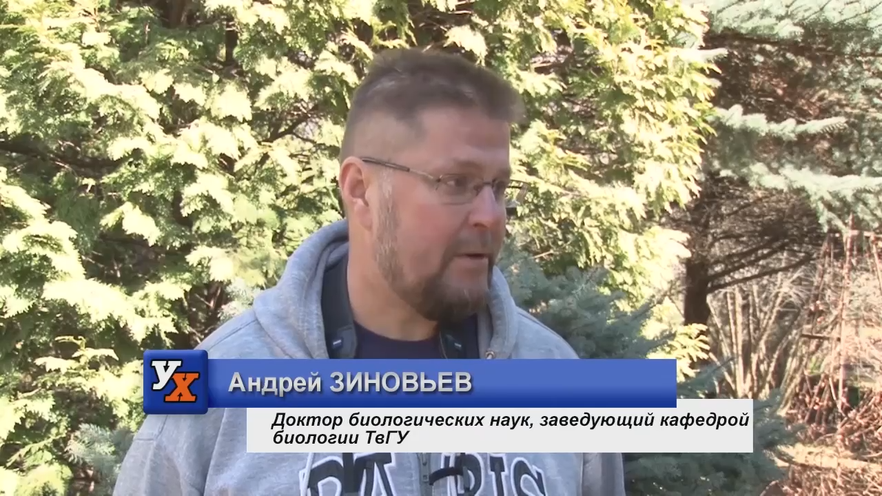 День птиц 2017 смотреть онлайн