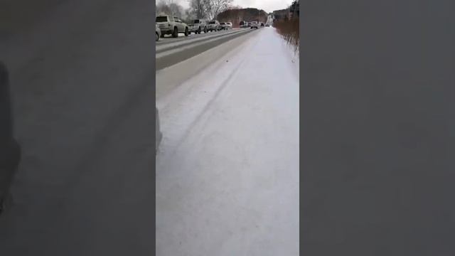 Потрёпанную лису встретили сахалинцы на рыбалке смотреть онлайн