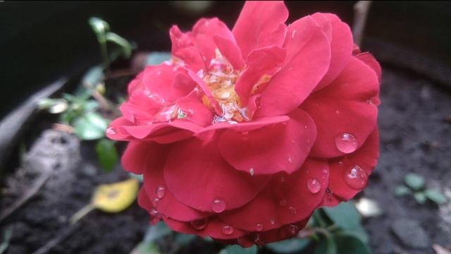 Вальс смотреть онлайн