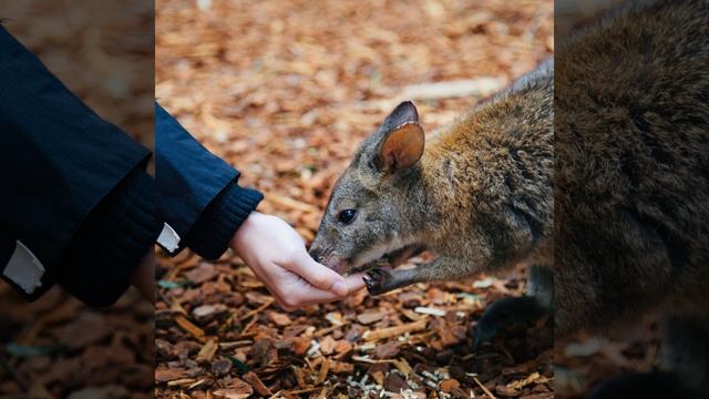 Java Seven смотреть онлайн