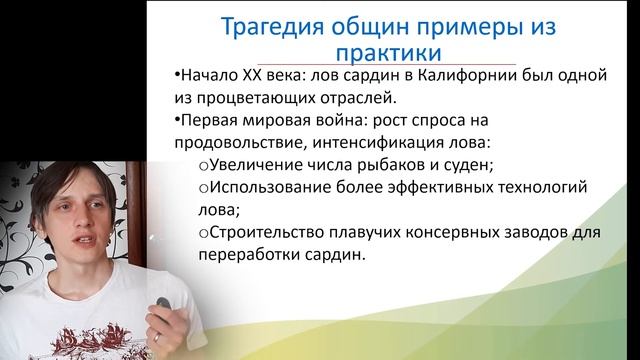 Микроэкономика - Общественные блага смотреть онлайн