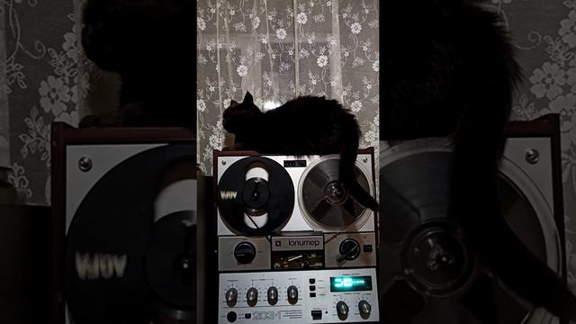 Замкнутый круг смотреть онлайн