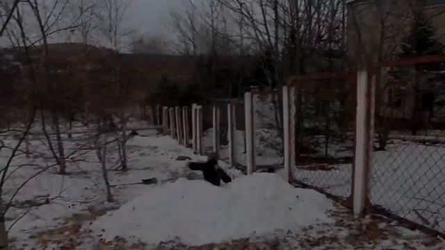 EVGENIY KUKUSHKIN 2015\GooD YeaR