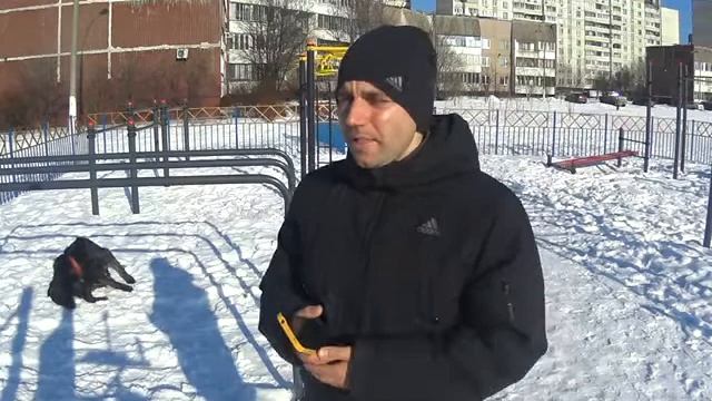 Разведение собак как бизнес и как вернуть собаку заводчику. смотреть онлайн
