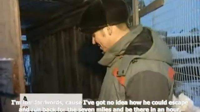 Hachiko from Russia смотреть онлайн