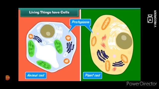 Module 2 Living Things смотреть онлайн