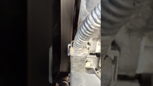 Honda accord v6 timing belt tensioner noise смотреть онлайн