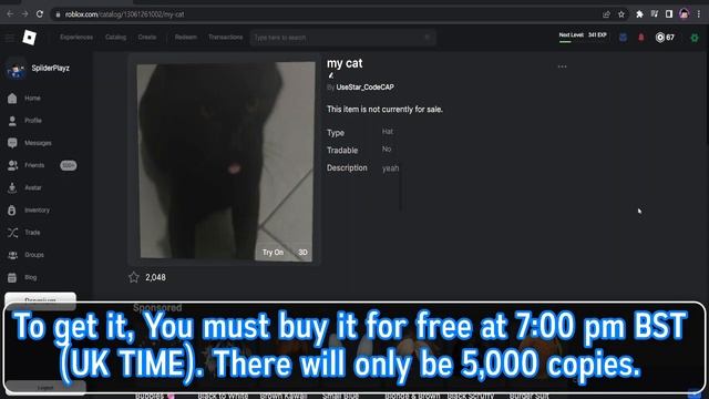 (FREE ITEM / LIMITED) HOW TO GET THE MY CAT [ROBLOX] смотреть онлайн