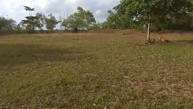 meriam peninggalan belanda di pulau ini смотреть онлайн