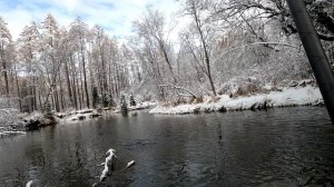 Рыбалка на Хариуса/СИБИРСКАЯ Речка-Снежный Хариус.
