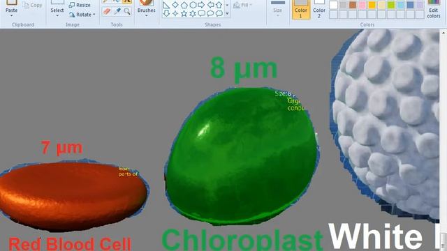 EVERYTHING Size Comparison 2021 [PART 8] смотреть онлайн