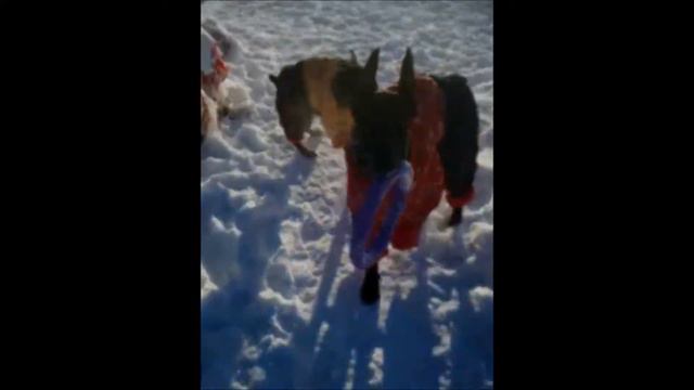 Meribel iz Zoosfery & Emrys смотреть онлайн