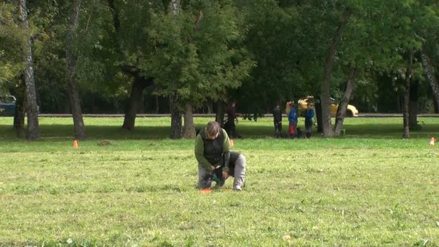 Russian USDDN WF Qualifier Татьяна и Чижик смотреть онлайн