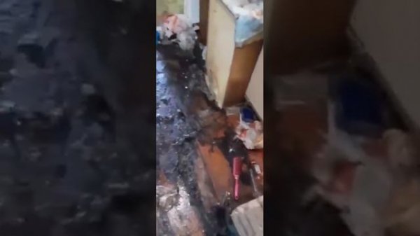 Обработка после трупного запаха Sanitar-company.ru