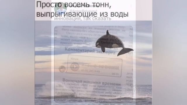 Весёлая коллекция номер 49 #приколы смотреть онлайн