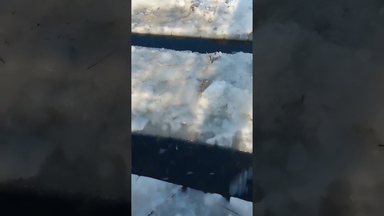 Как ловят рыбу в деревне смотреть онлайн